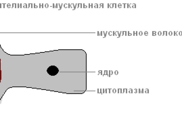 Kraken официальный сайт вход