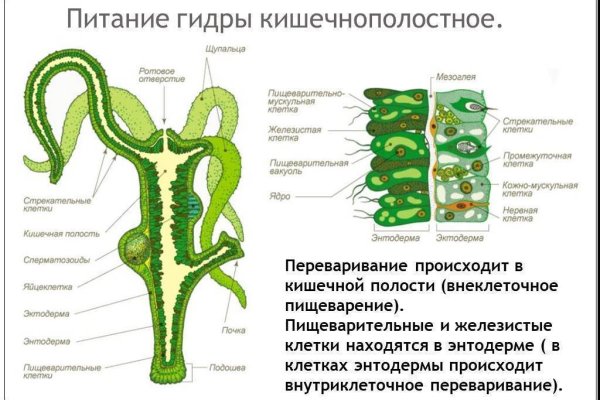 Кракен зеркало gigageek ru